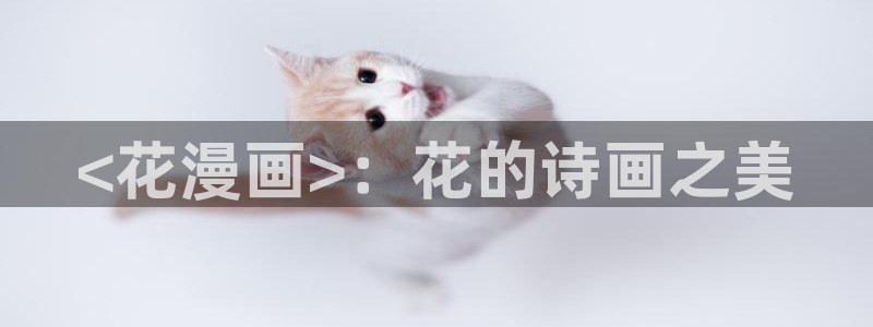 看韩漫画用什么软件最好免费版：<花漫画>：花的诗画之美
