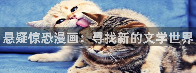 韩漫免费观看动漫入口：悬疑惊恐漫画：寻找新的文学世界