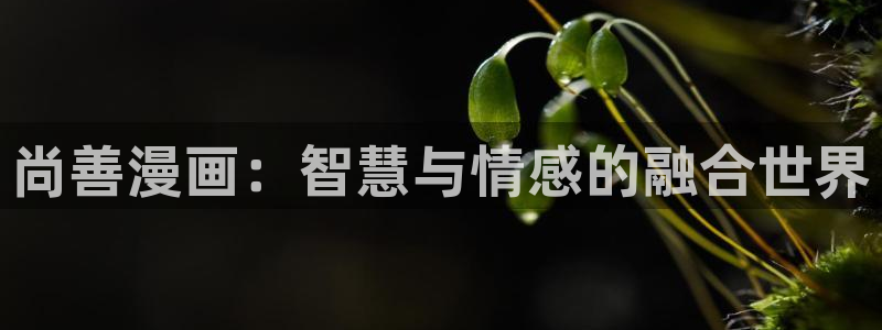 韩漫18漫画：尚善漫画：智慧与情感的融合世界