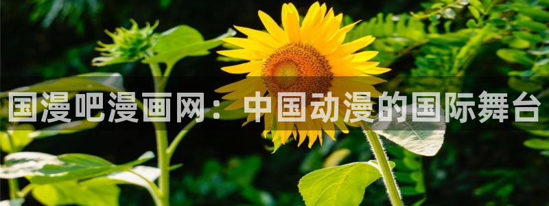 壁咚漫画韩漫：国漫吧漫画网：中国动漫的国际舞台