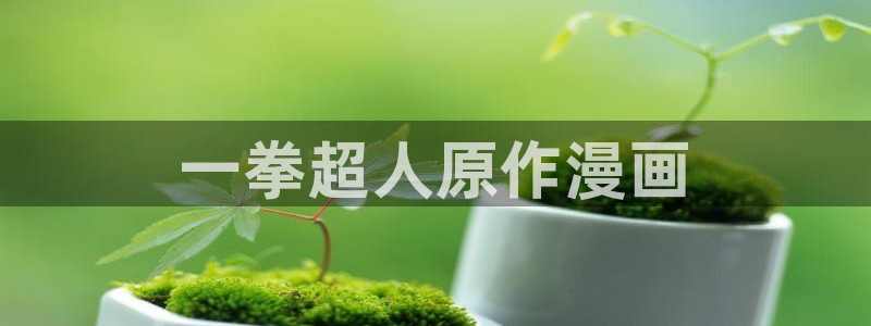 漫蛙2韩漫正版下载：一拳超人原作漫画