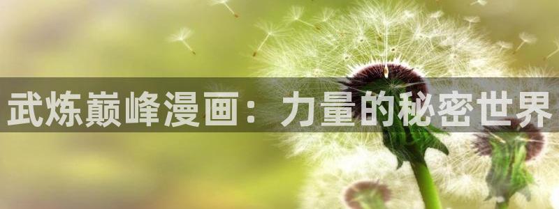 日韩漫画免费观看：武炼巅峰漫画：力量的秘密世界