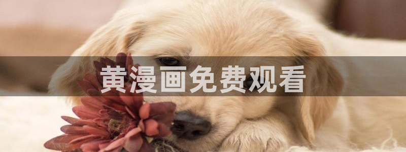 动漫双男主韩漫