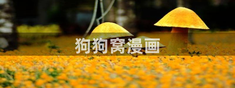 h韩漫在线免费看