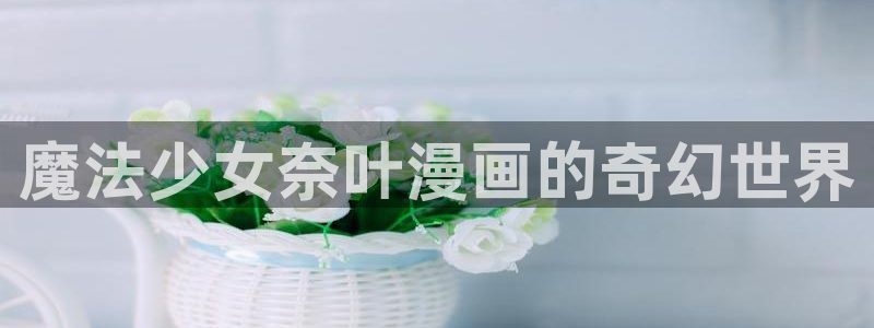 暴夜漫画全集免费韩漫：魔法少女奈叶漫画的奇幻世界