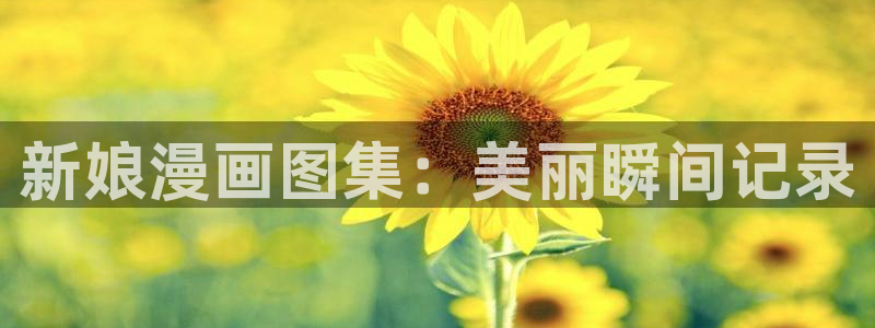 第一韩漫网站免费漫画下拉式阅读：新娘漫画图集：美丽瞬间记录