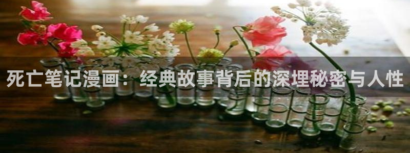 韩漫黄免费观看：死亡笔记漫画：经典故事背后的深埋秘密与人性